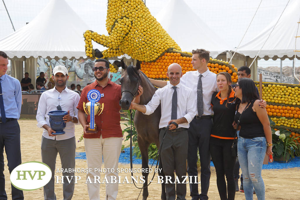 Photos Day Two Menton 2018 Colts and Stallions