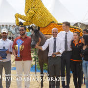 Photos Day Two Menton 2018 Colts and Stallions