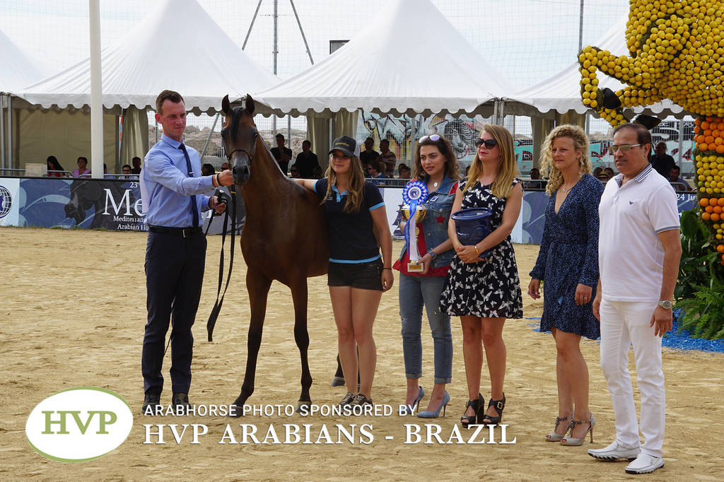 Photos Day Two Menton 2018 Colts and Stallions