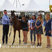 Photos Day Two Menton 2018 Colts and Stallions