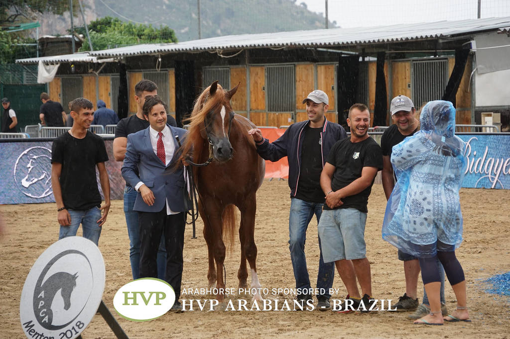 2018 Championship Photos Menton Arabian Horse Show 