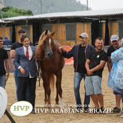 2018 Championship Photos Menton Arabian Horse Show 