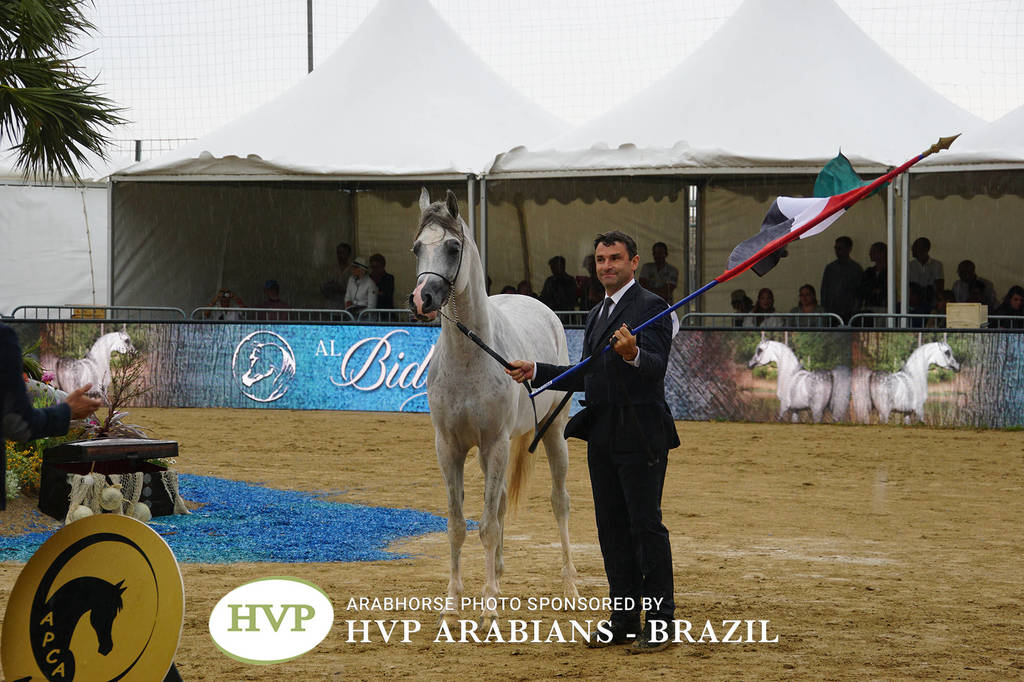 2018 Championship Photos Menton Arabian Horse Show 