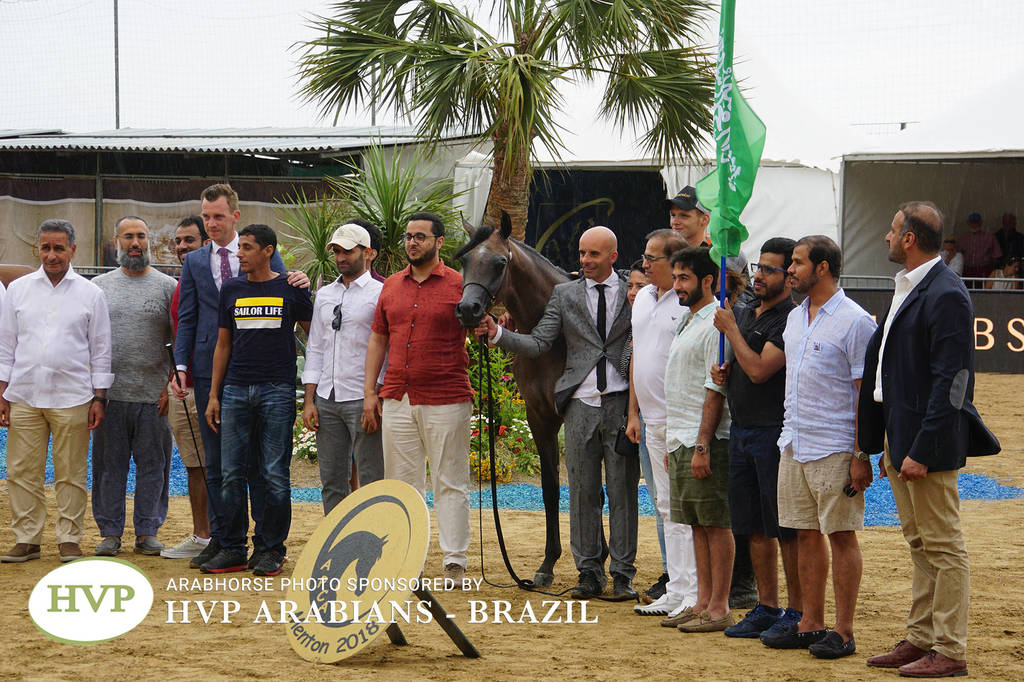 2018 Championship Photos Menton Arabian Horse Show 