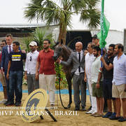 2018 Championship Photos Menton Arabian Horse Show 