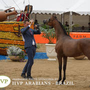 2018 Championship Photos Menton Arabian Horse Show 