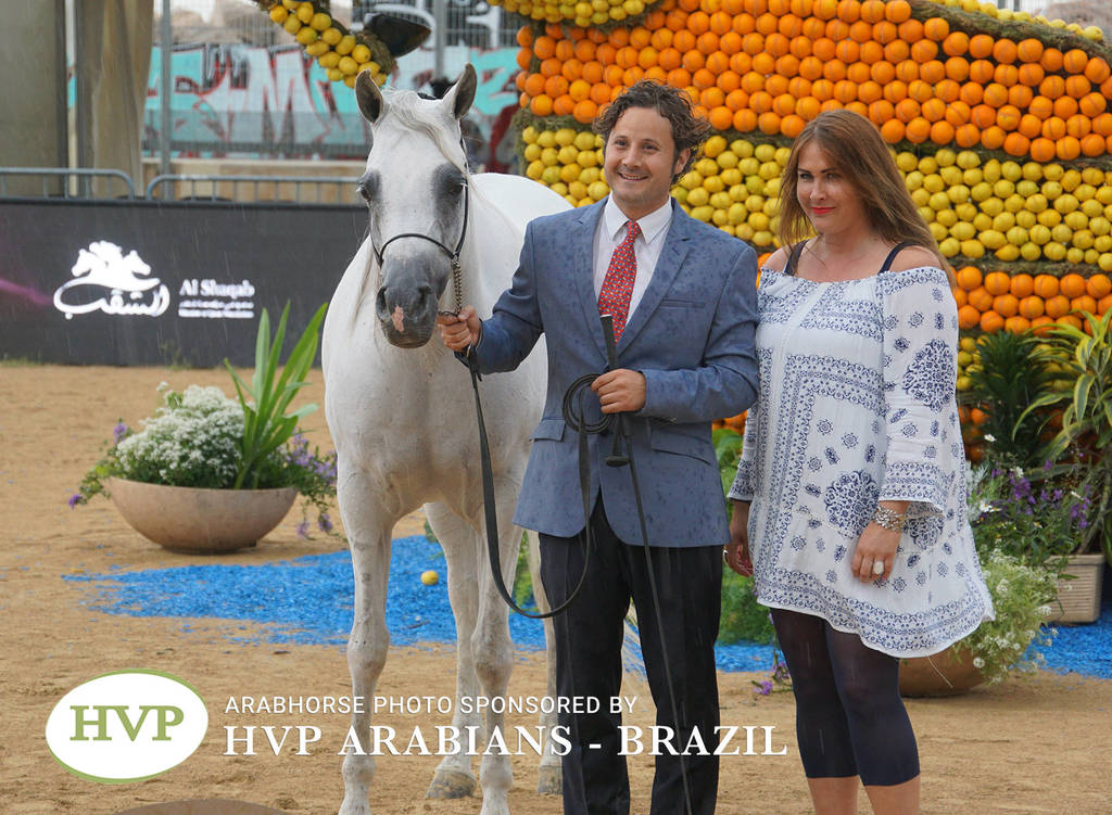 2018 Championship Photos Menton Arabian Horse Show 