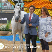 2018 Championship Photos Menton Arabian Horse Show 