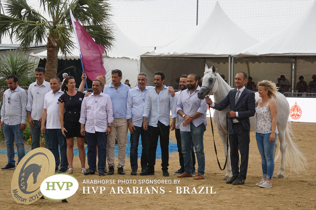2018 Championship Photos Menton Arabian Horse Show 