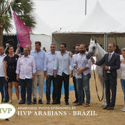 2018 Championship Photos Menton Arabian Horse Show 