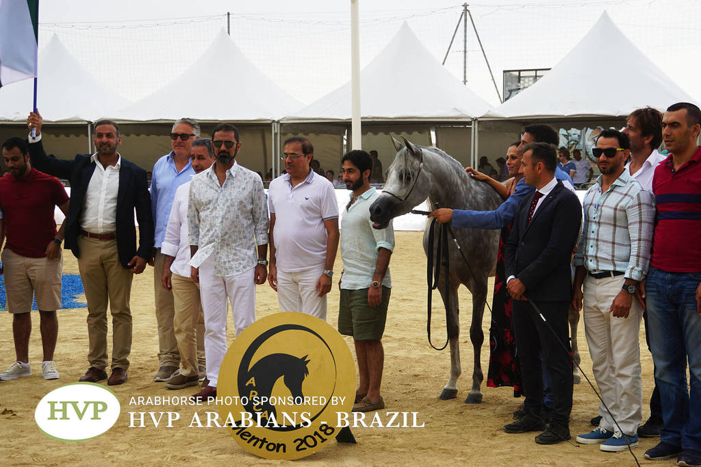 2018 Championship Photos Menton Arabian Horse Show 