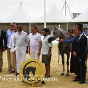 2018 Championship Photos Menton Arabian Horse Show 