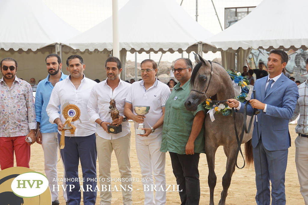 2018 Championship Photos Menton Arabian Horse Show 