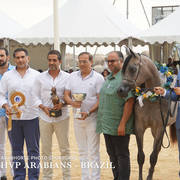 2018 Championship Photos Menton Arabian Horse Show 
