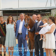 2018 Championship Photos Menton Arabian Horse Show 