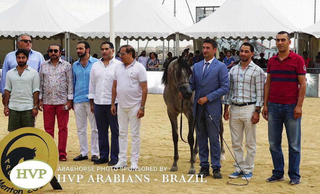 2018 Championship Photos Menton Arabian Horse Show 