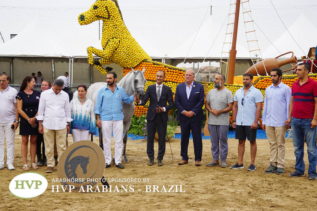 2018 Championship Photos Menton Arabian Horse Show 