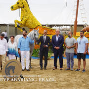 2018 Championship Photos Menton Arabian Horse Show 