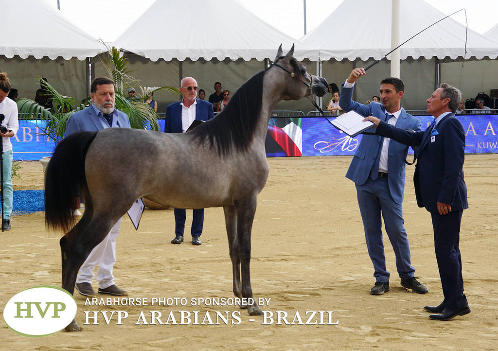 2018 Championship Photos Menton Arabian Horse Show 