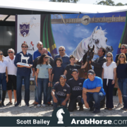 The 2018 Brazilian National Horse Show
