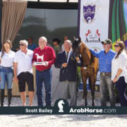 The 2018 Brazilian National Horse Show