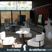 The 2018 Brazilian National Horse Show