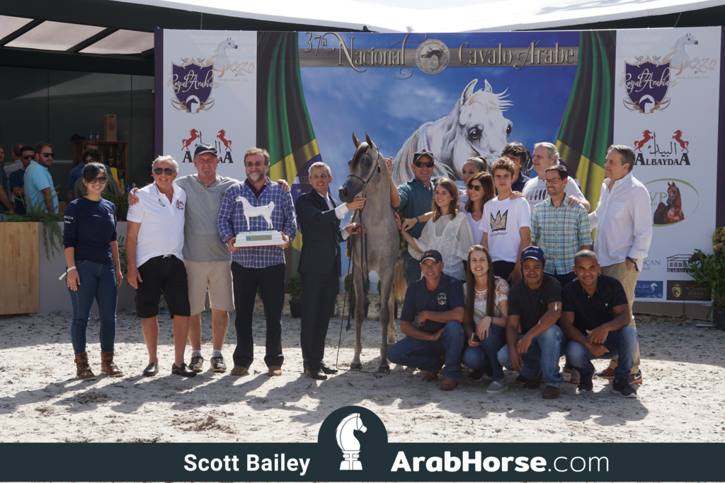 The 2018 Brazilian National Horse Show