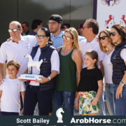 The 2018 Brazilian National Horse Show