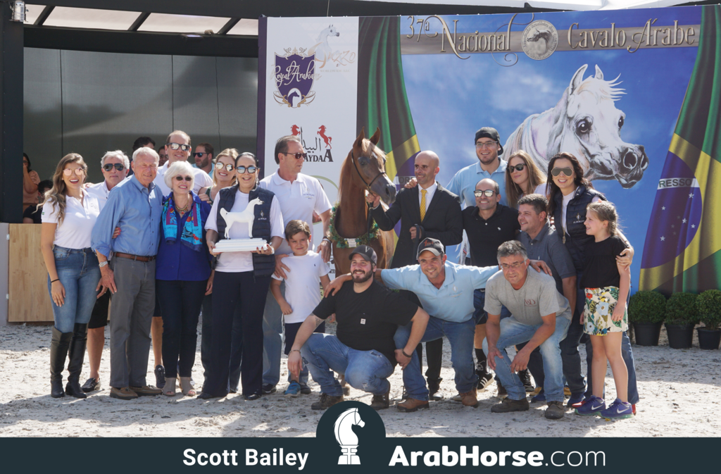 The 2018 Brazilian National Horse Show