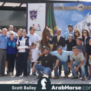 The 2018 Brazilian National Horse Show
