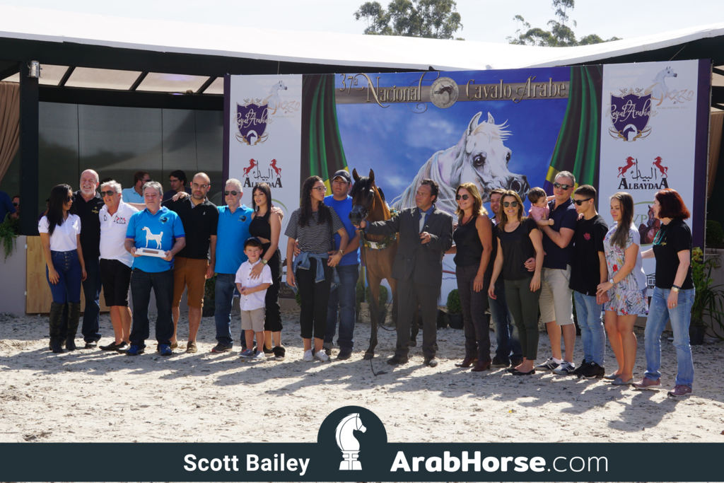 The 2018 Brazilian National Horse Show