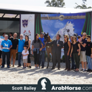 The 2018 Brazilian National Horse Show