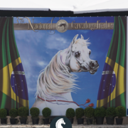 The 2018 Brazilian National Horse Show