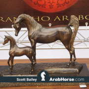 The 2018 Brazilian National Horse Show