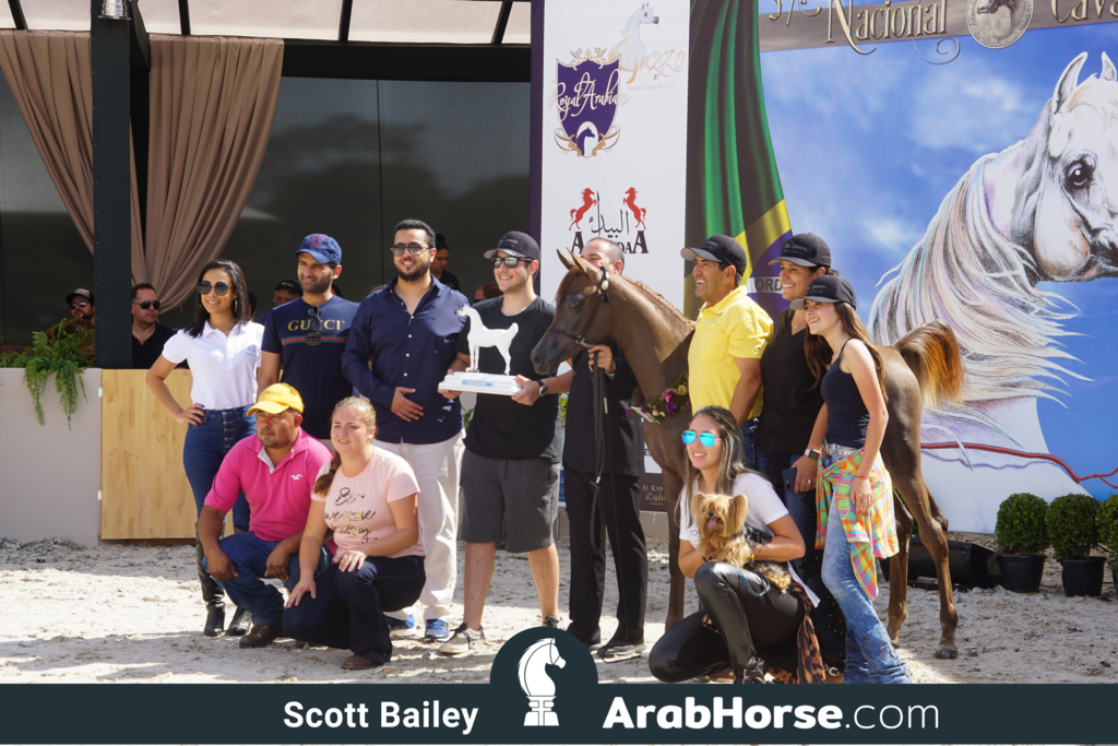 The 2018 Brazilian National Horse Show