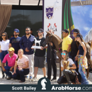 The 2018 Brazilian National Horse Show