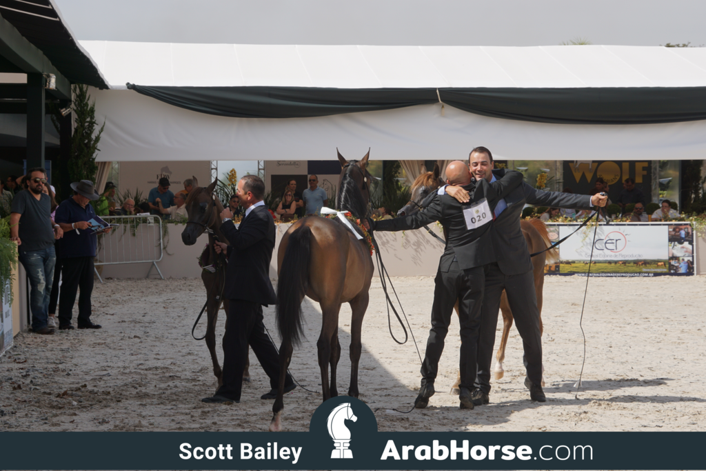 The 2018 Brazilian National Horse Show