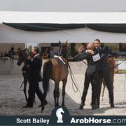 The 2018 Brazilian National Horse Show