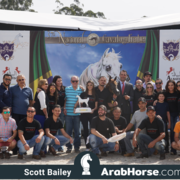 The 2018 Brazilian National Horse Show