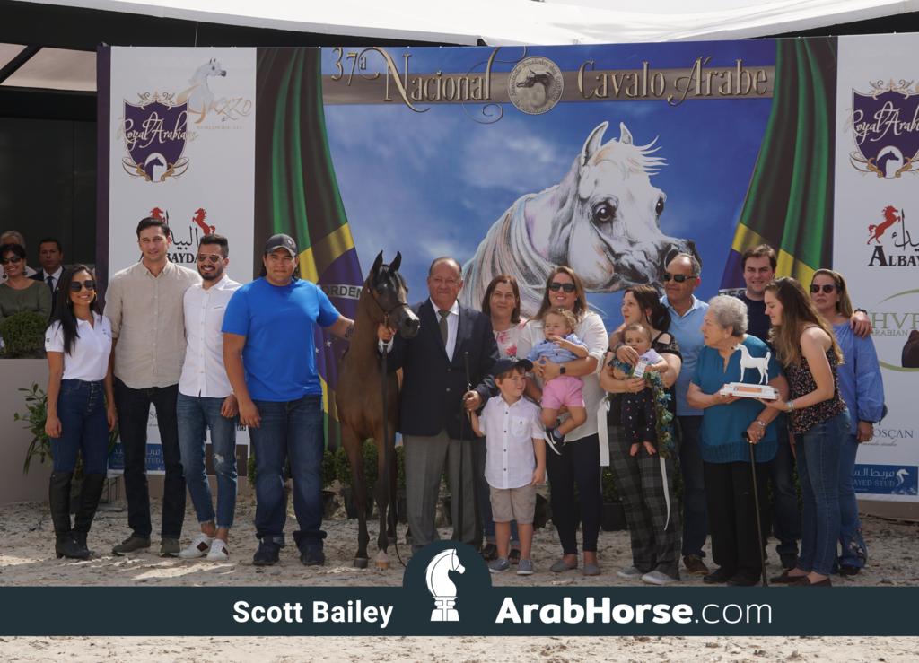 The 2018 Brazilian National Horse Show