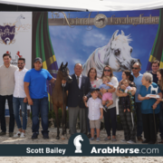 The 2018 Brazilian National Horse Show