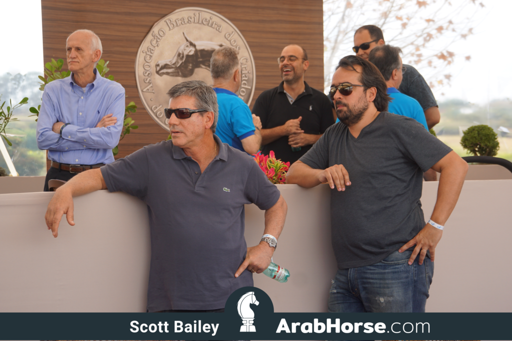 The 2018 Brazilian National Horse Show