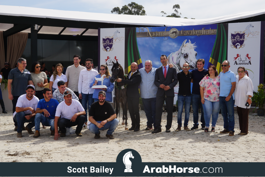 The 2018 Brazilian National Horse Show