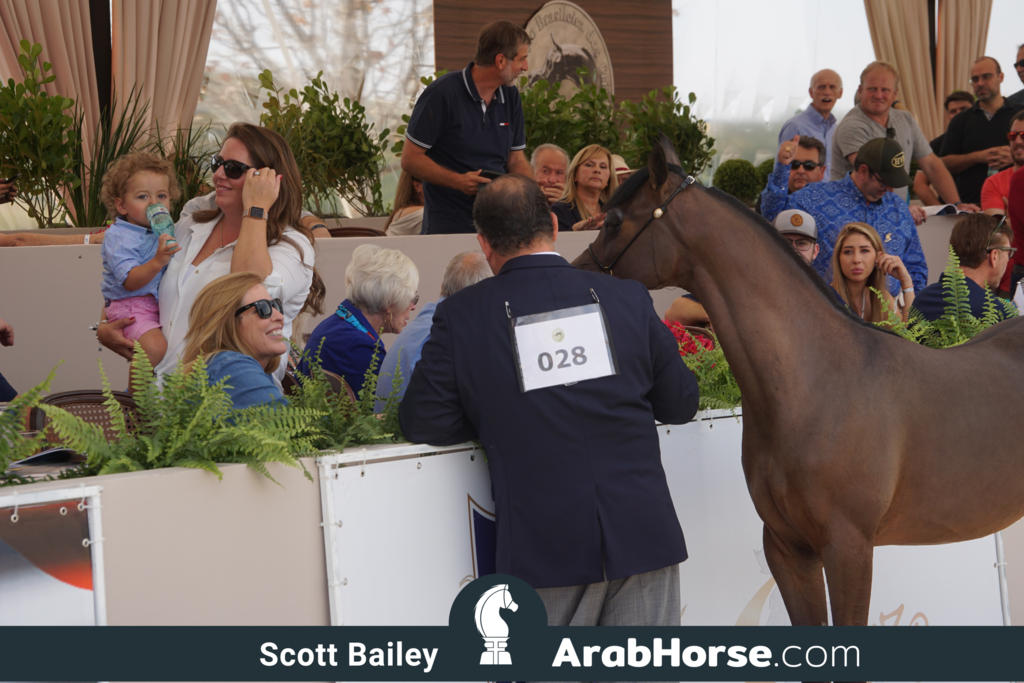 The 2018 Brazilian National Horse Show