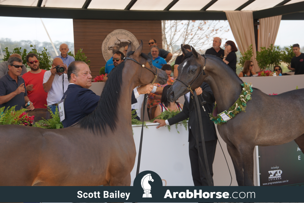 The 2018 Brazilian National Horse Show
