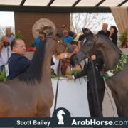 The 2018 Brazilian National Horse Show