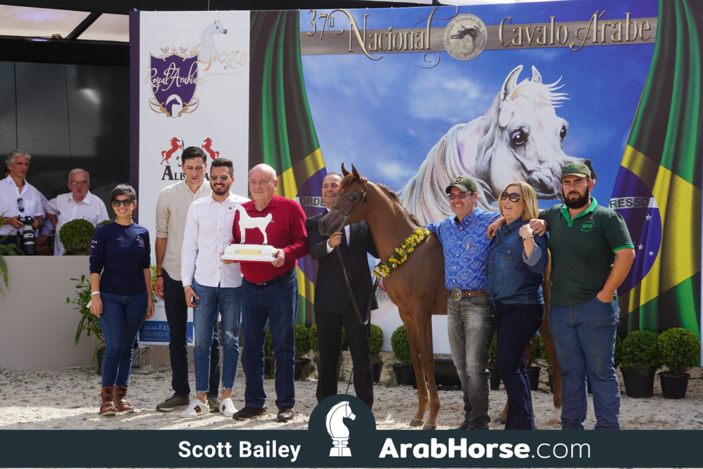 The 2018 Brazilian National Horse Show