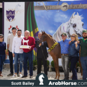 The 2018 Brazilian National Horse Show