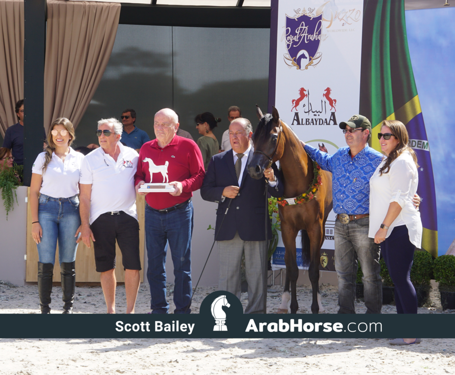 The 2018 Brazilian National Horse Show