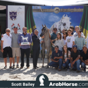 The 2018 Brazilian National Horse Show
